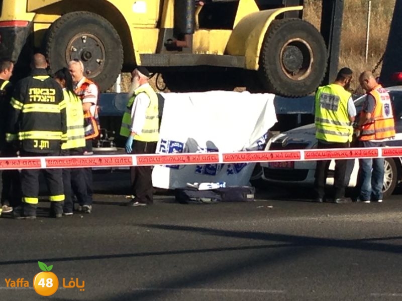 sha7enaramlalud527 (1).jpg